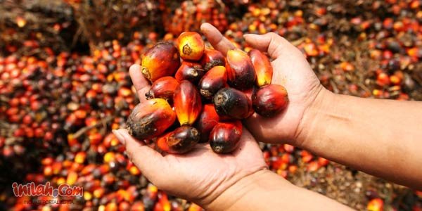 INILAH 1027 INILAH 1027